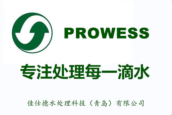 青岛佳仕德水处理PROWESS品牌WS系列