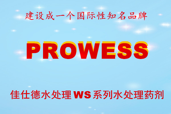 PROWESS品牌600.400-1_副本.jpg